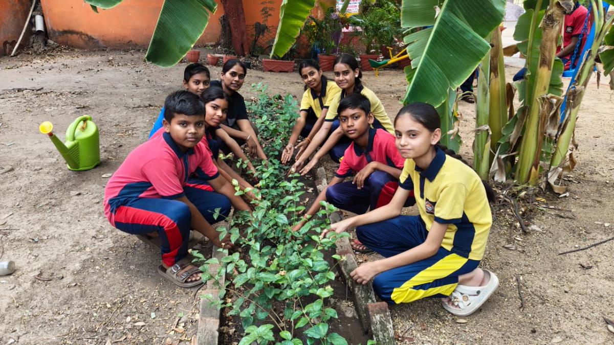 World Environment Day 2026